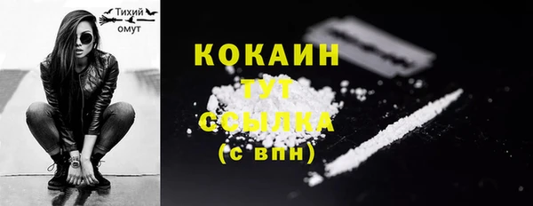 PSILOCYBIN Абаза