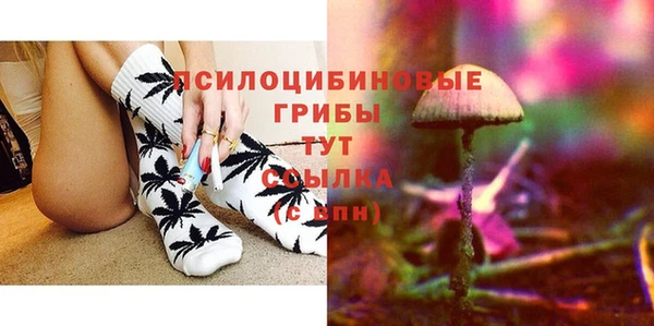 PSILOCYBIN Абаза