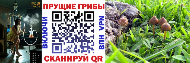 Галлюциногенные грибы MAGIC MUSHROOMS  где купить наркоту  Иркутск 